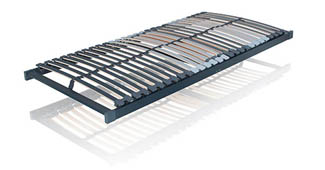 fenomed flex